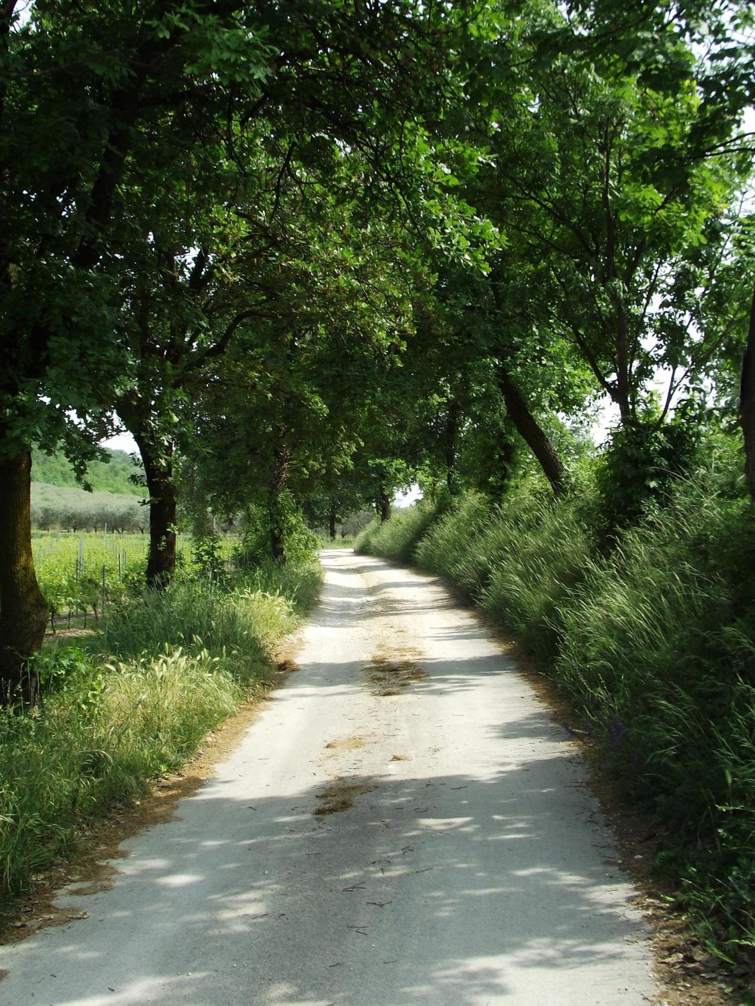 Agriturismo Ca' Castellani Bardolino Buitenkant foto